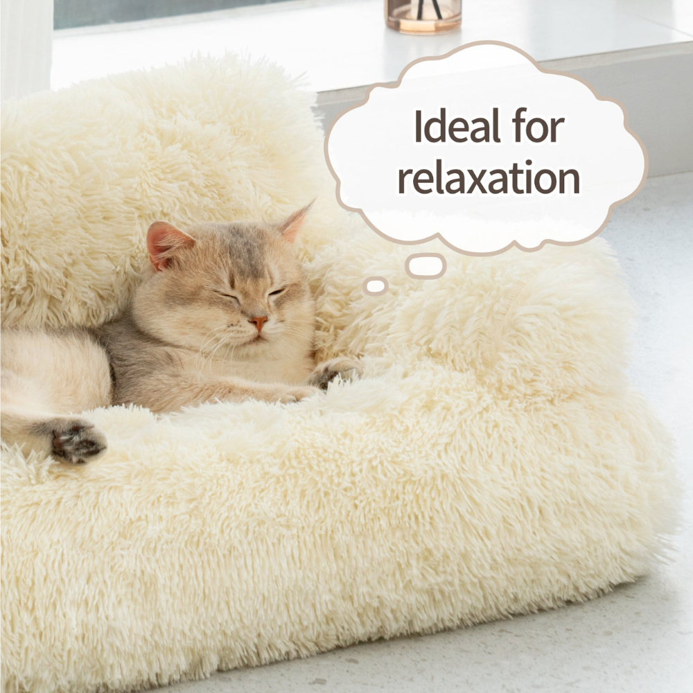 Calming Cat & Dog Sofa OlvysBeds™