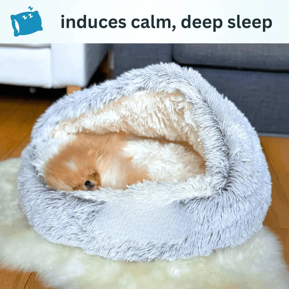 OlvysBeds™ CozyCoon Pet Bed | Warm & Supportive Comfort