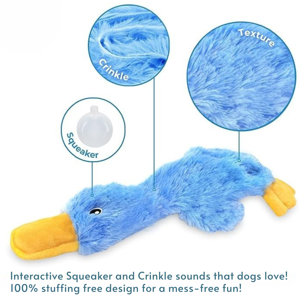 Crinkle Toy for Dogs OlvysBeds™