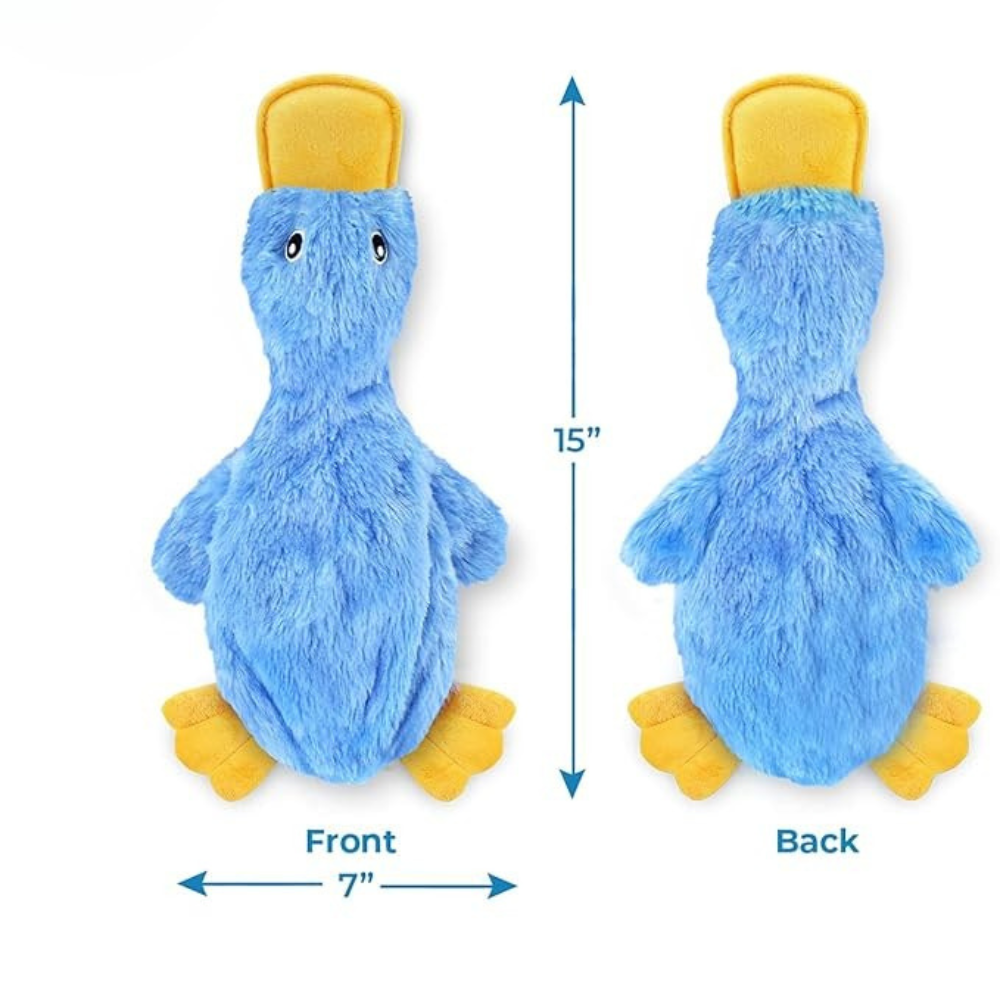 Crinkle Toy for Dogs OlvysBeds™