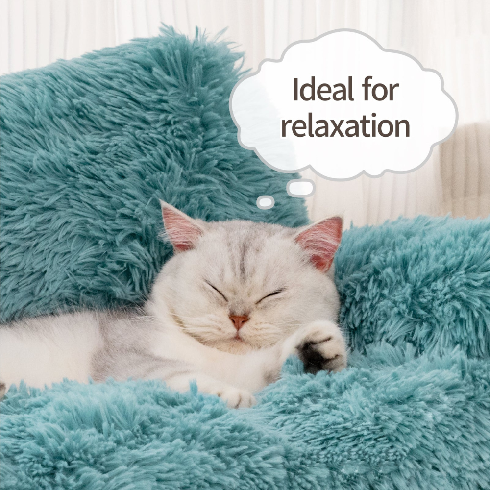 Calming Cat & Dog Sofa OlvysBeds™