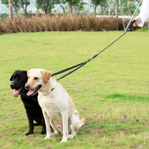 OlvysBeds™ DUALWALK Two Dog Leash OlvysBeds™