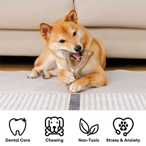 Teething Bones Dog Chew Toy OlvysBeds™