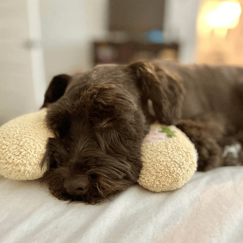 Pet Pillow For Cats and Dogs OlvysBeds™