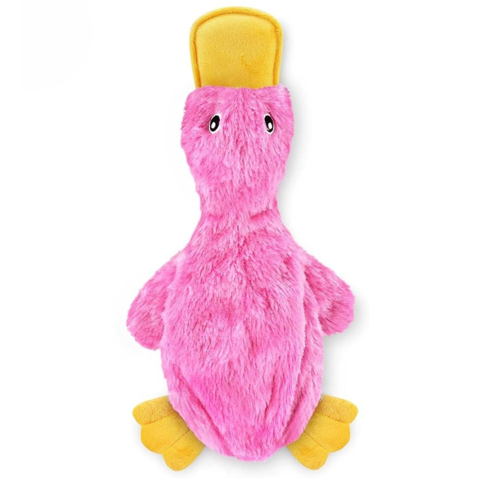 Crinkle Toy for Dogs OlvysBeds™
